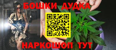 PSILOCYBIN Бугуруслан